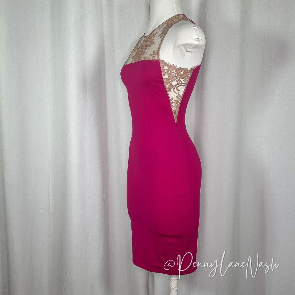 Mason Pink Bodycon Dress With Nude Lace Trim - Picture 6 of 10